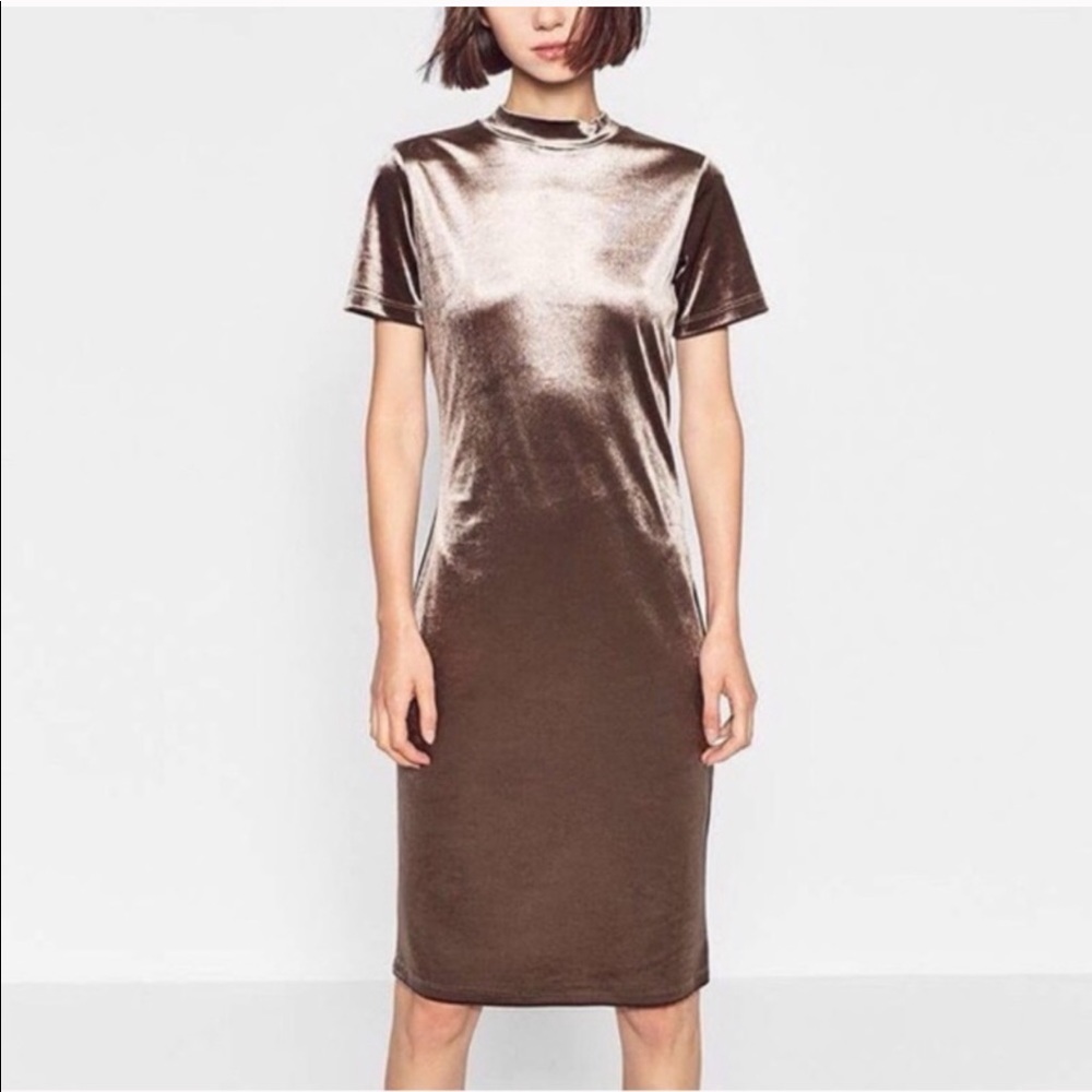Zara Trafaluc Velvet Midi Dress